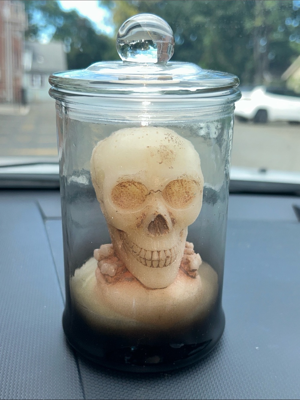 Decorative Bone Skull Light Up Vanilla Candle in Glass Jar - Cream Accent